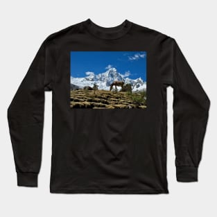 A Burro in the Andes Long Sleeve T-Shirt